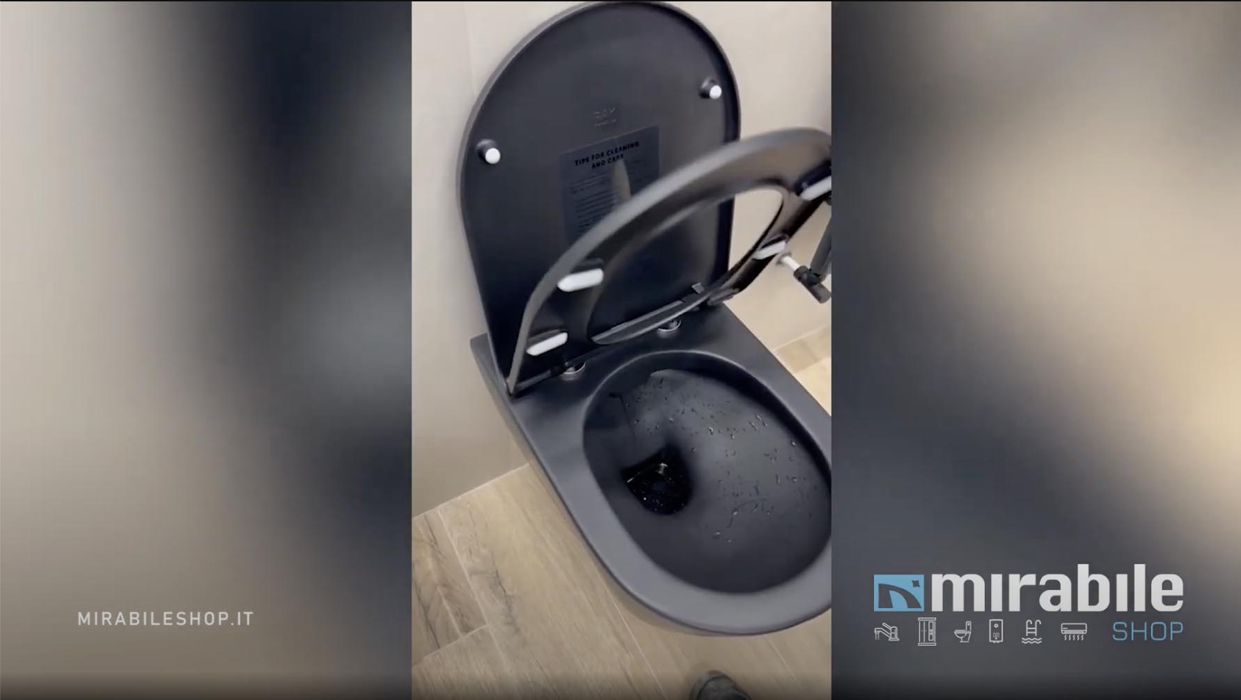 Installazione Tavoletta WC - Video Guida alla sostituzione