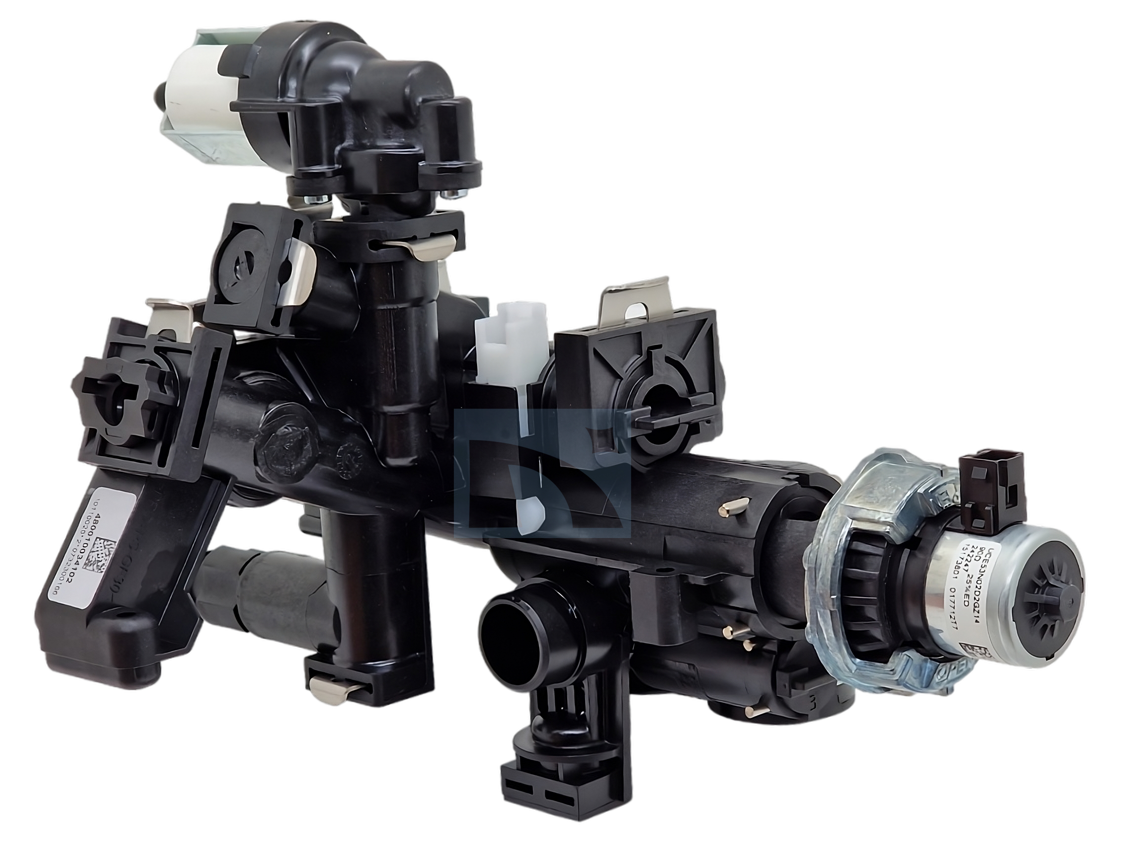 Gruppo Ritorno - 65117955