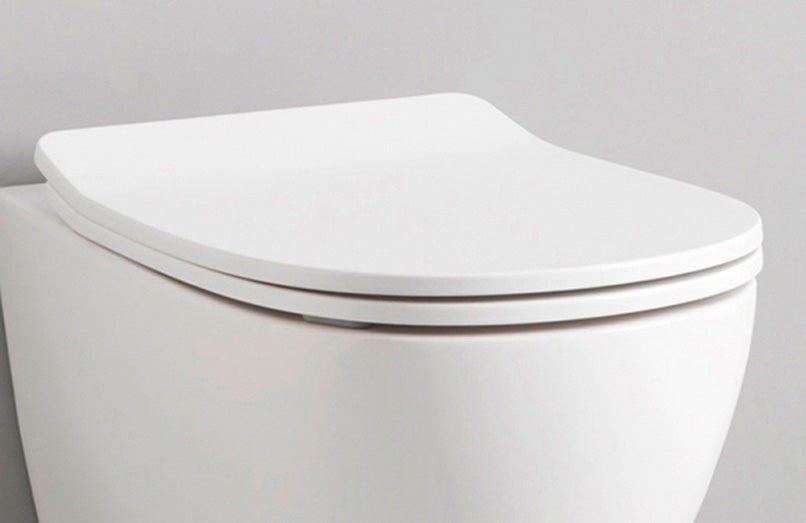 Coprivaso WC Soft Close - Ten (Artceram)