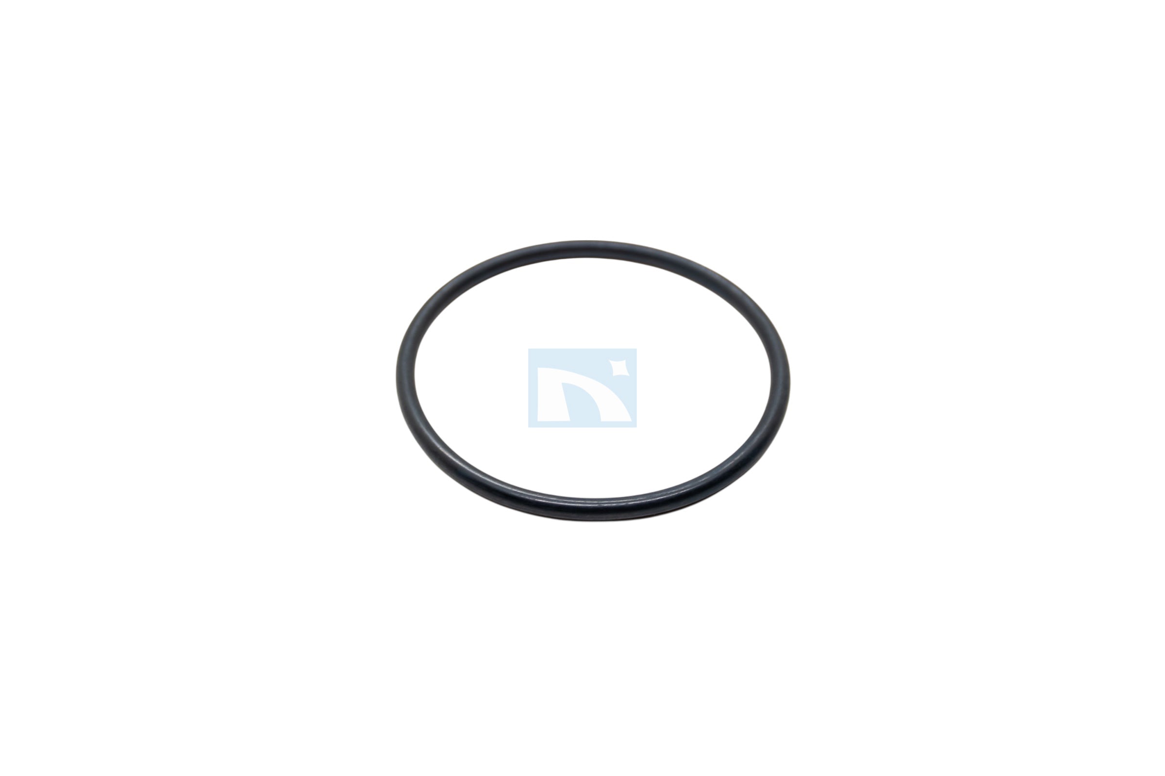 Guarnizione o-ring 161 per sede estraibile - 80009096