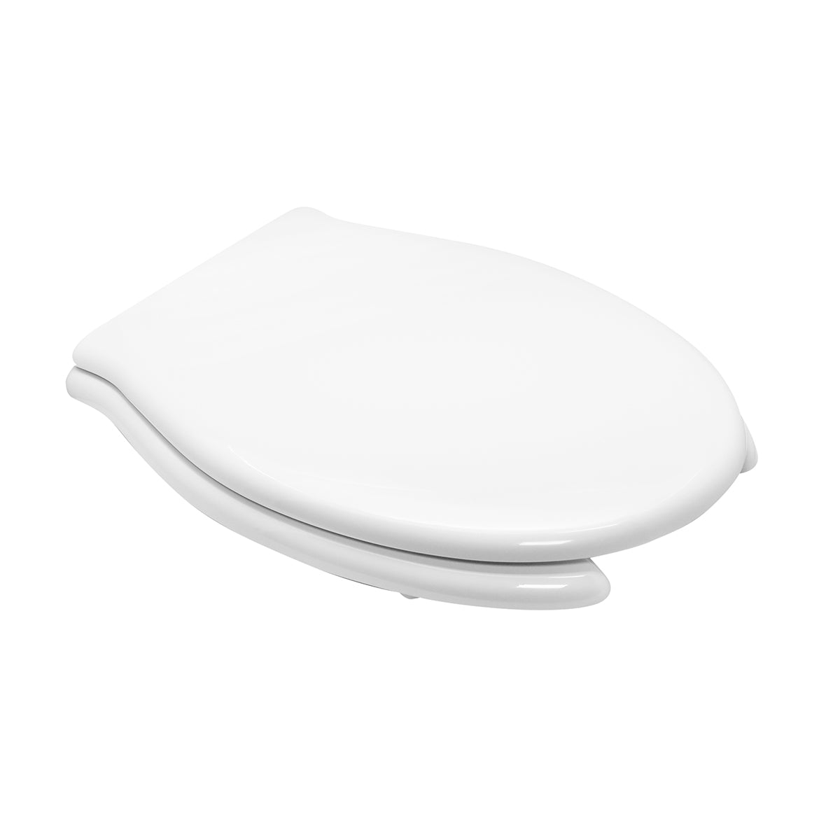 Copriwater disabile rossari pontegiulio passanti